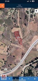 Bilecik Yenipazar Esenköy De Resmi Yollu 4526 M2 Arazi