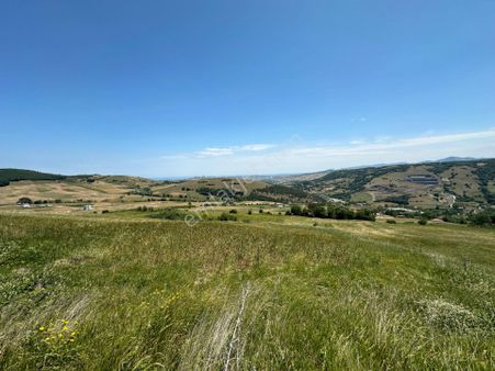 Lider'den Samsun Atakum Sarıışık Köyünde 1006m2 Tarla Tek Tapu