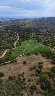 Kırklareli Merkez Demircihalil Köyü'nde Satılık Tarla
