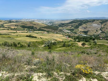 Lider'den Samsun Atakum Sarıışık Köyünde 4.194 M2 Tarla Tek Tapu
