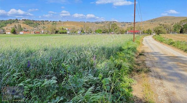 Doğa City'den Satılık Söğüt Oluklu'da Köy İçi 2.611 M2 Tarla