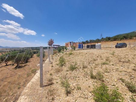 İzmir Kemalpaşa Sütçülerde Satılık 300m² Bahce