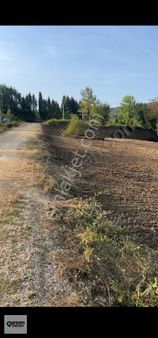 Düzce Yeşilyayla 'da Resmi Yola Cephe 175 M2 Arsa