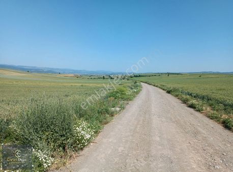 Kadastro Yolu Olan Firsat Tarla