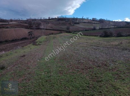 Yola Yakin Tarla Acil Satılık