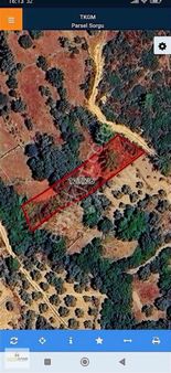 Söğütçükte Satılık Bahçe