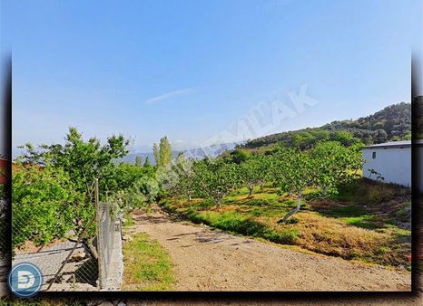 Seçköyde Satılık Ana Yola Cephe Köy İçinde İncir Bahçesi