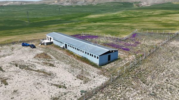 Gölbaşı Bezirhane Satılık Çiftlik