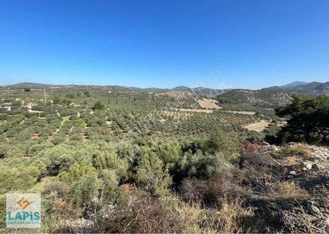 Denize 2 Km İmarlı 5000 M² Yatırıma Ve İnşaata Uygun Arsa