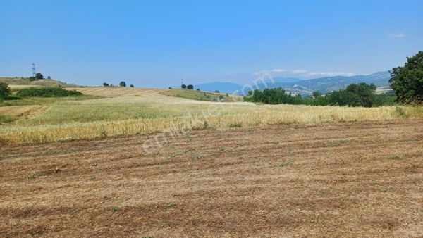 Kocaeli Karamürsel Kızderbent %5 İmarlı Satılık 3604 M2 Tarla