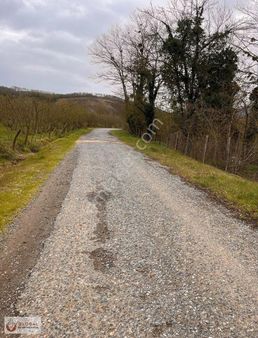 Global Gayrimenkul'den Merkezde Satılık Fırsat Arsalar