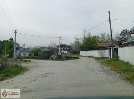 Global Gayrimenkul'den Güzel Konumda Satılık Fındık Bahçesi