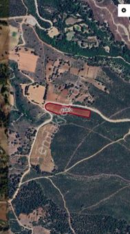 Acıpayam Gölcük De 11631 M2 Ayva Bahçesi