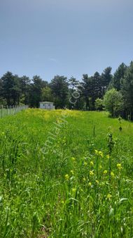 Bilecik Merkez Kepirler Köyünde Satılık Bahçe