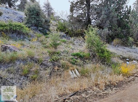 Anayola 105 Metre Cephesi Var Saklıkent Kayak Merkezi Yolu Üzeri