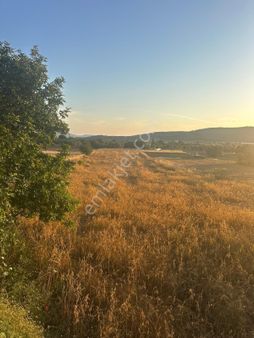 Milas Kuzuyaka’da Asfalt Yola Cepheli Düz Zemin Satılık Tarla