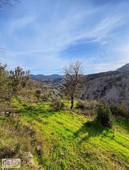 Antalya Manavgat Tilkilerde Satılık Mustakil Tarla Kaçmaz