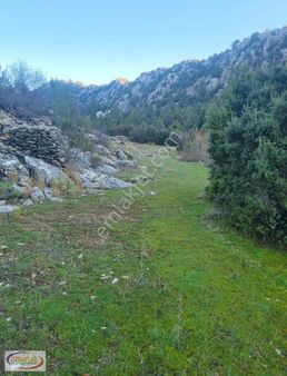 Antalya Akseki Sadıklarda Satılık Köye Yakın Tarla Kaçmaz