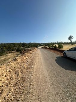 Mersin Gülnar Beydili Mah.acil Satılık 27.200 M.kare Tarla