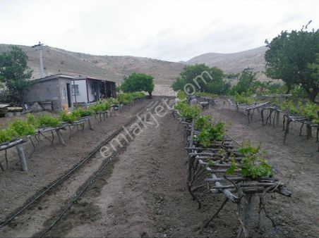 Tatköyde 944 M2 Elektrik Su Aboneliği Bulunan Satılık Bahçe