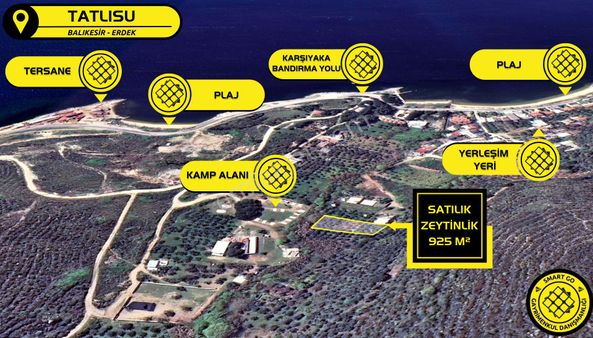 Tatlısu'da Satılık 925 M² Zeytinlik