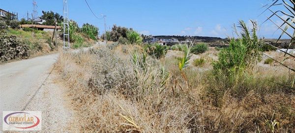 Antalya Manavgat Kalemlerde Satılık Köy İçi Zeytin Bahcesi