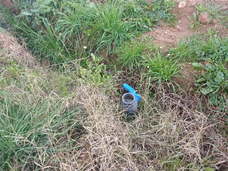 Manisa Ahmetli Alahıdır Mahallesinde 3000m²hobi Mahçesi Satılık