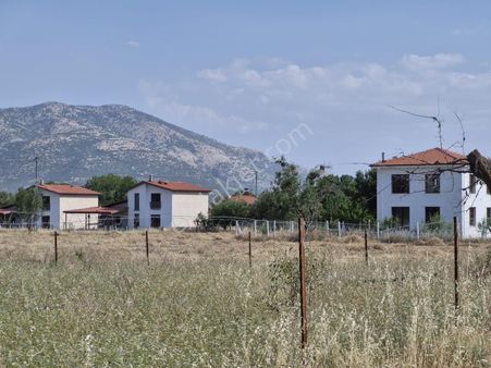 Tavas Yaka Bağ Pazarı Mevkii