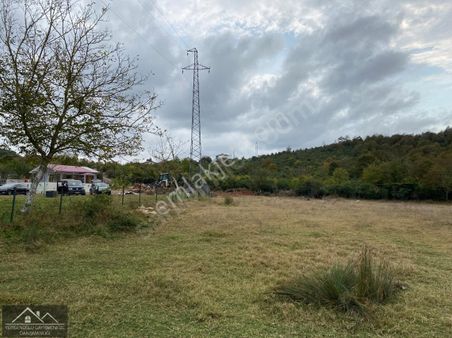 Şile Hasanlı Sarıkavak Satılık Arsa-yolu Açık-2512m2