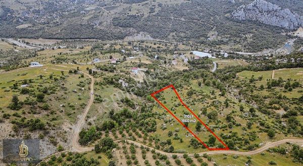 Alanyanın Gözde Yaylası İmamlı Mah.1960m2 Arazi