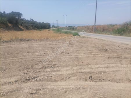 Nalbantlar Köyü Sökede Satılık Tarla