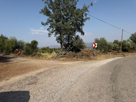 Yankı'dan Hassa Ardıçlı Hacılar Köyü Yol Üzeri 6.800 M2 Müstakil Bağ &tarla