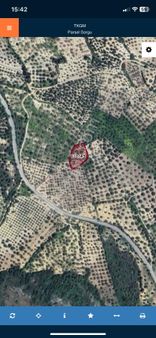 Akhisar Yatağan'da Satılık 2 Dönüm Tek Tapu Zeytinlik