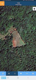 Samsun Canik Gürgenyatak Orman İçinde Manzaralı Satılık Tarla