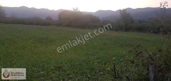 Global Gayrimenkul'den Villalık Güzel Konumda Kupon Arsalar