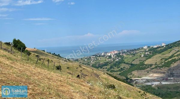 Samsun Canik Sarıbıyık 17.323 M2 Satılık Arazi Ve Müstakil Ev