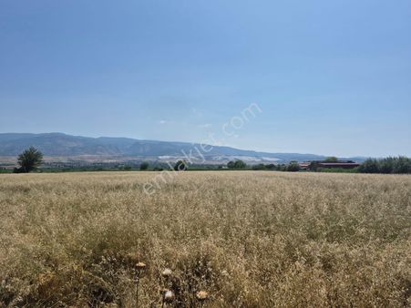 Redstone Myra Dan Yukarışamlı Mahallesi Nde Satılık Tarla