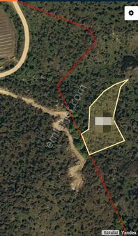 Güzeltepe Köyü Sökede Satılık Zeytinlik