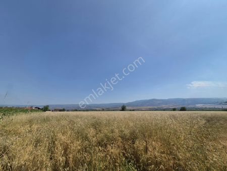 Redstone Myra Dan Yukarışamlı Mahallesi Nde Satılık Tarla