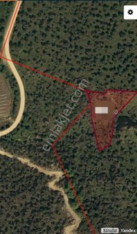 Güzeltepe Köyü Sökede Satılık Zeytinlik