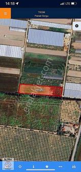 Takas Olabilir -geleceğin En Değerli Bölgesi Olacak Burası ...