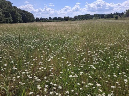 Balıkesir Hisaralan Mahallesinde Gölün Yanı Mevkii 6400 M2 Kazançlı Yatırımlık Satılık Arazi.