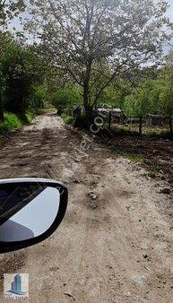 İnegöl 500 M2 Satılık Hobi Bahçesi