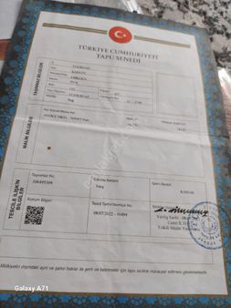 Tekirdağ Şarköy Eriklicede