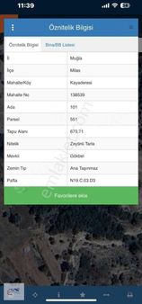 Muğla Milas Kayaderesi Satılık Zeytinlik 680m² Gökhan Alkaya'dan