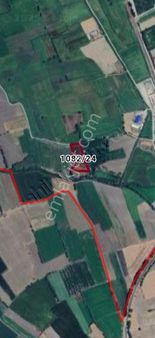 Afyon Dinar Satılık 7.752 M2 Tek Tapu Tarla Açıklamayı Okuyunuz