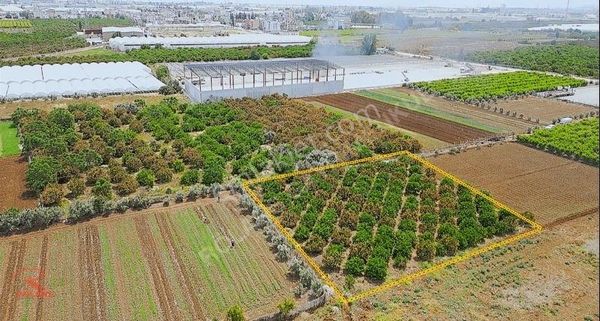 Karacailyasta Yatırım 2624 M2 Yatırım Fırsatı