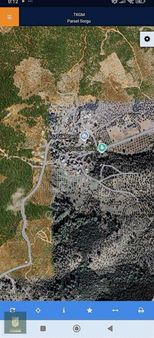 Bozbükte 4200 M2 Yola Cepheli Zeytinli Tarla