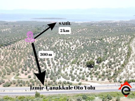 Satılık Köşe Müstakil Parsel Zeytinlik