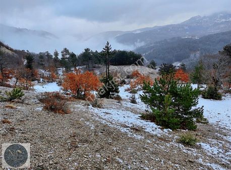 Doğa Tutkunlarına Bolu Mudurnu Dereköy De 7210 M2 Tarla